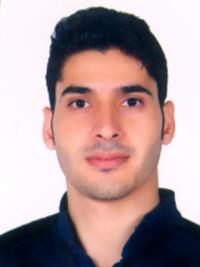 محمد یاسر دادپور